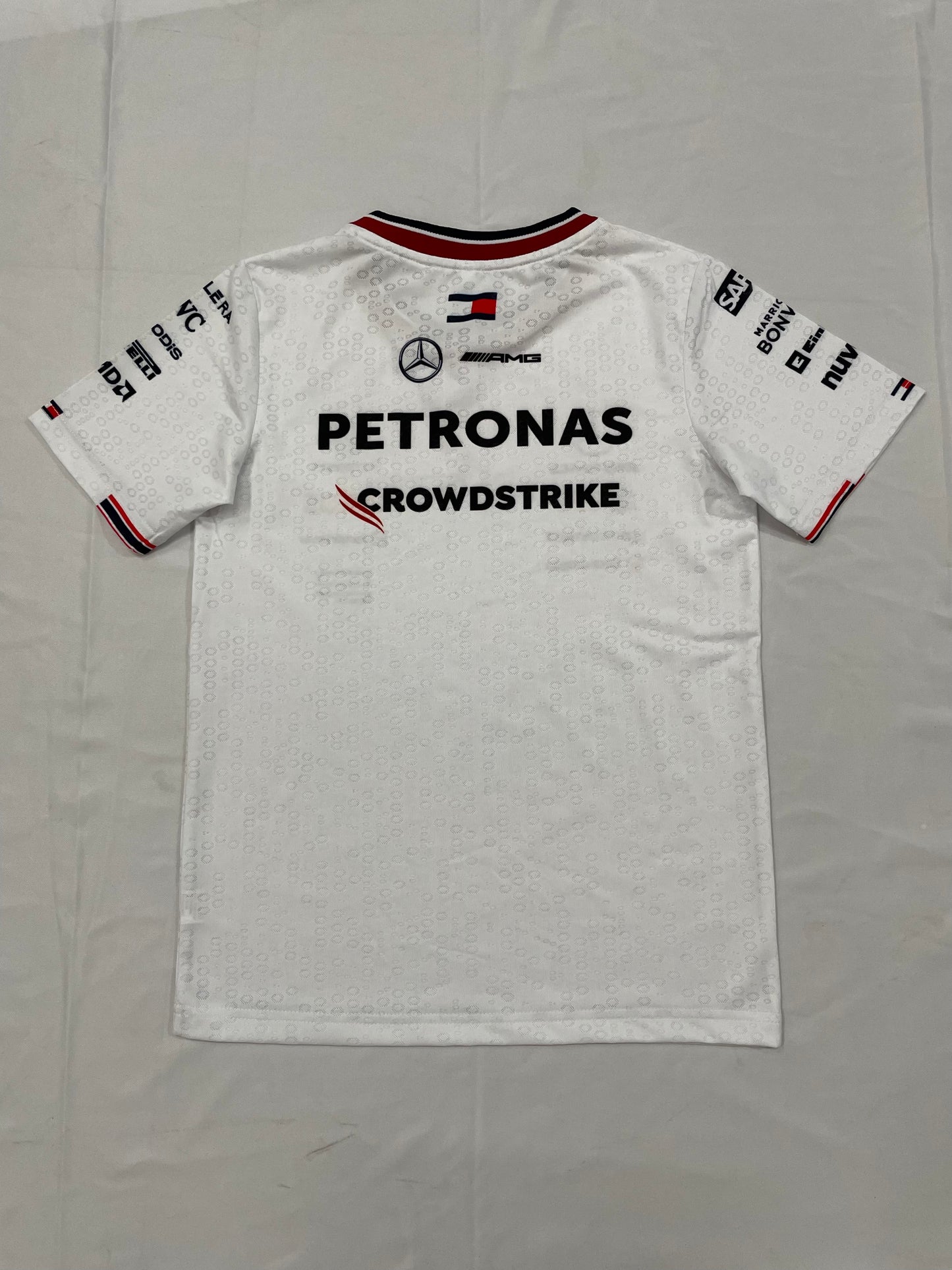 CAMISETA MERCEDES TEAM MASCULINA