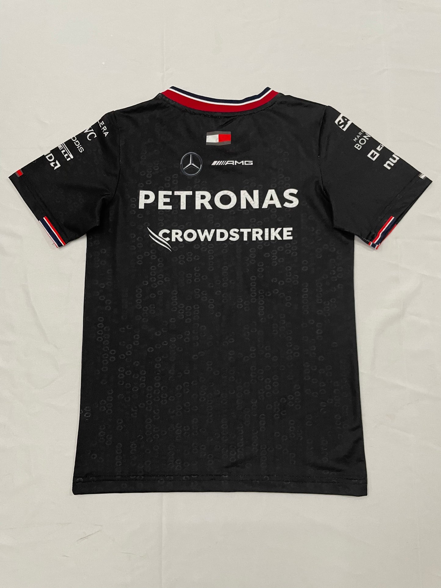 CAMISETA MERCEDES TEAM MASCULINA